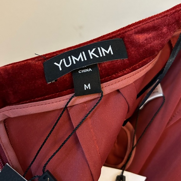Yumi Kim. City Slicker Velvet Pants. Brick Velour. Medium - Picture 10 of 15